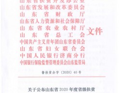 荣誉资质